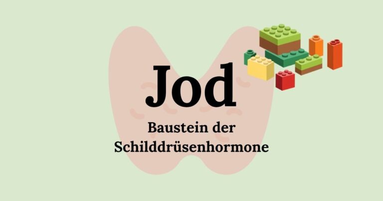 Jod – Funktion und wichtige Jod-Quellen